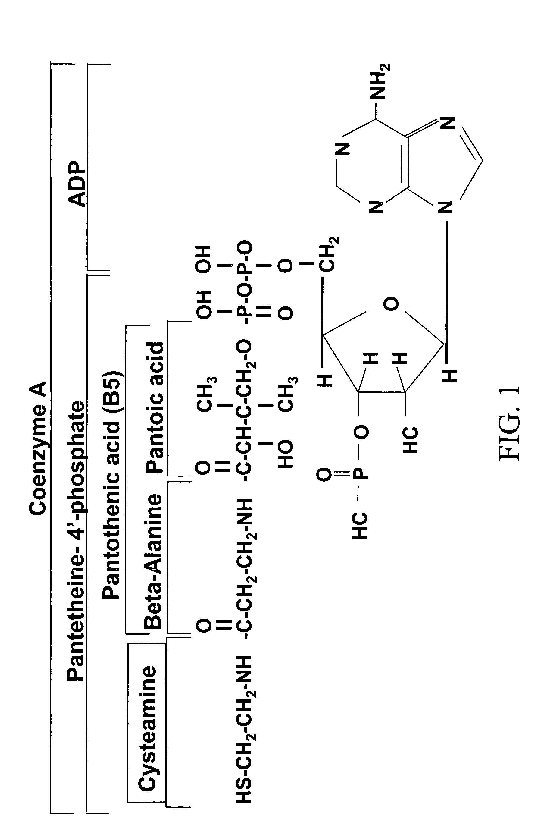 Methods for treating allergy