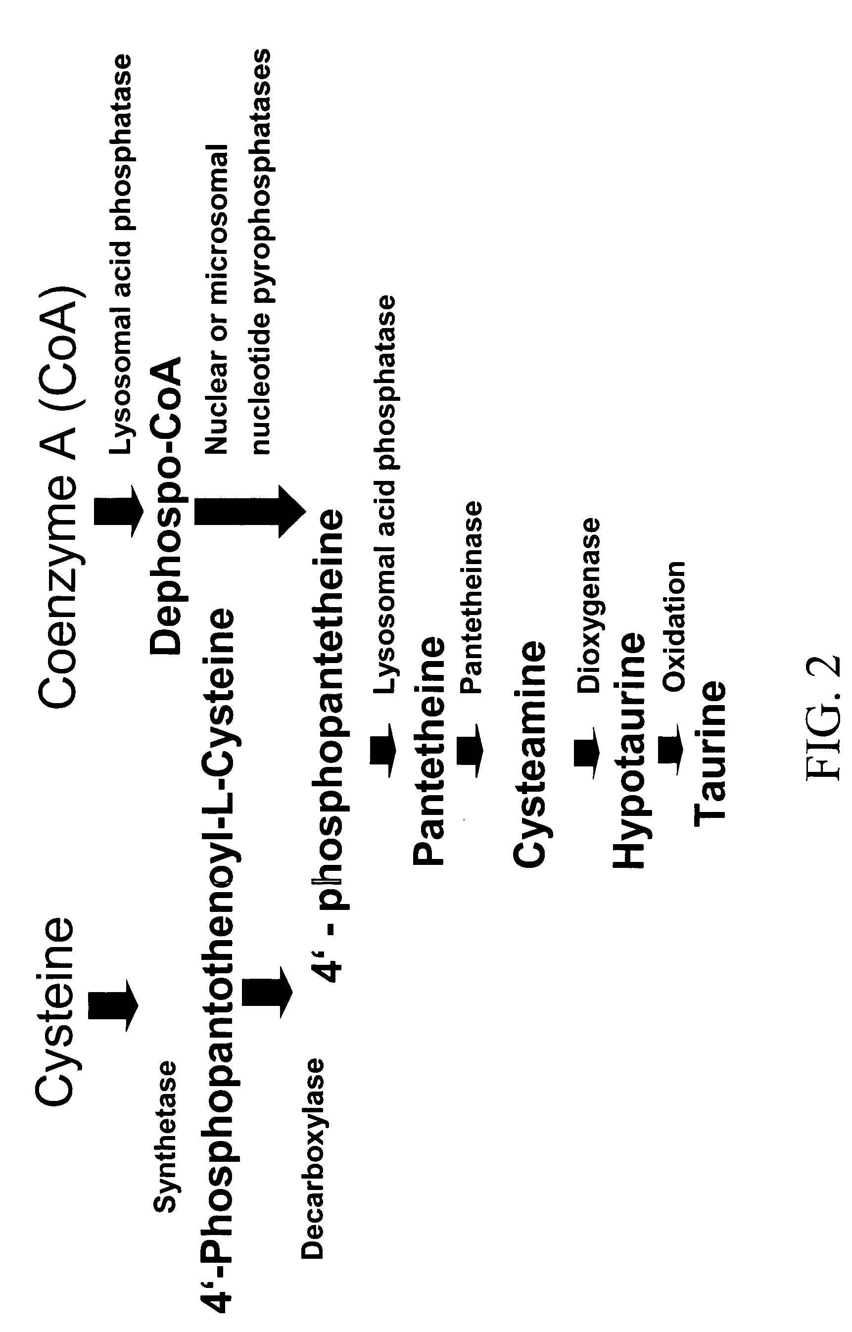 Methods for treating allergy