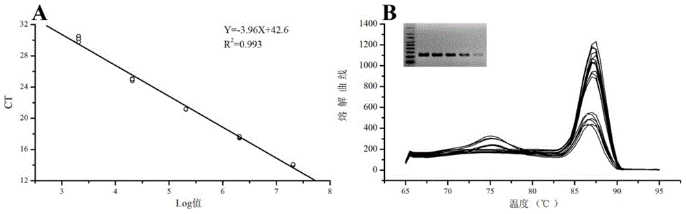 A method for in situ revealing of formic acid-utilizing methanogenic archaea in paddy fields using DNA stable isotope probes