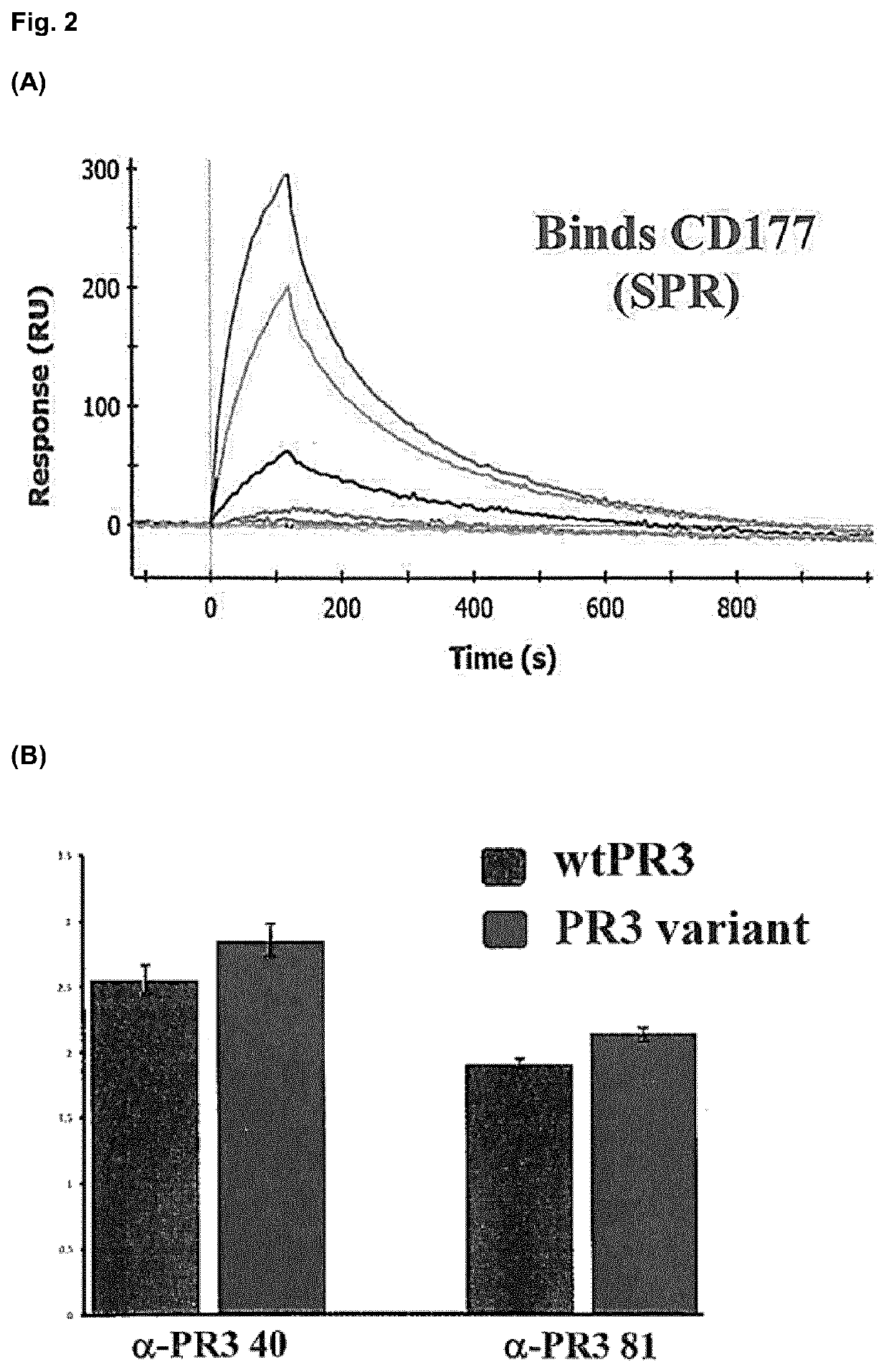 Extracorporeal devices for methods for treating diseases associated with Anti-neutrophil cytoplasmic antibodies