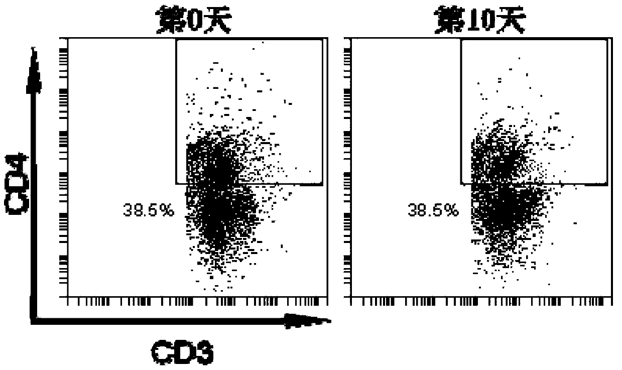 A sample preparation kit for detecting molecules on the membrane surface of pig peripheral blood and spleen lymphocytes and its preparation method