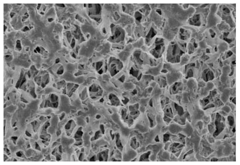 High-flux super-hydrophilic/underwater super-oleophobic Janus membrane modification method