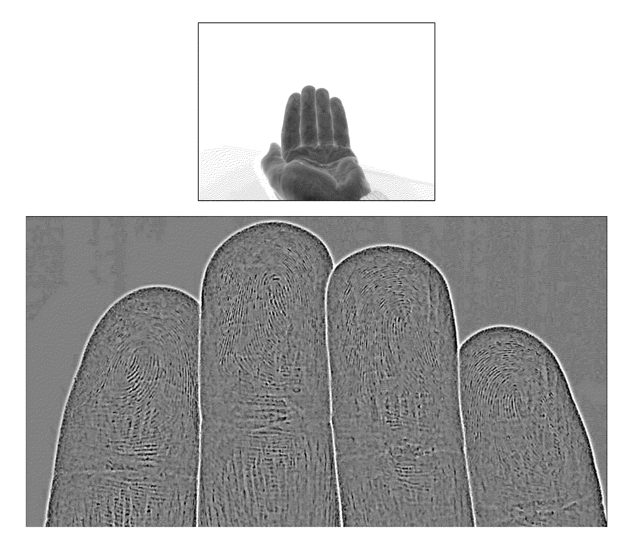 Systems and methods for performing fingerprint based user authentication using imagery captured using mobile devices