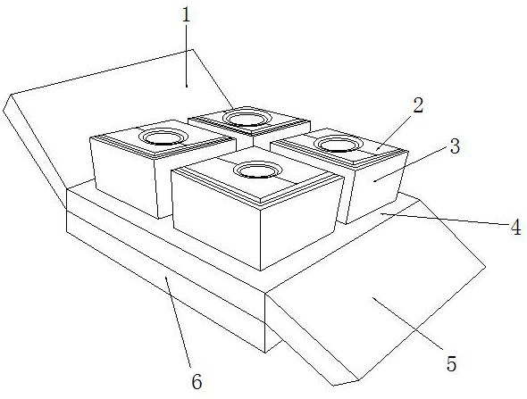 Medicated bath device for preventing hoof diseases for livestock