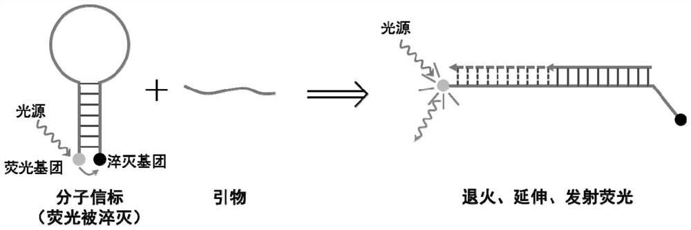 Taq DNA polymerase monoclonal antibody combination, polymerase reaction system comprising it, and application thereof