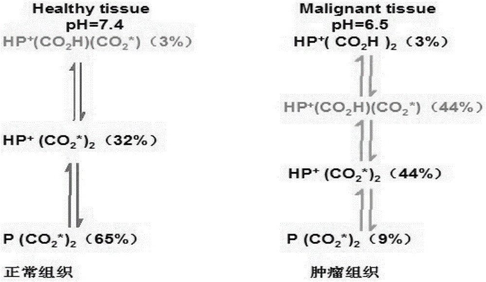 Preparation method of swainsonine derivatives and scientific research reagents thereof