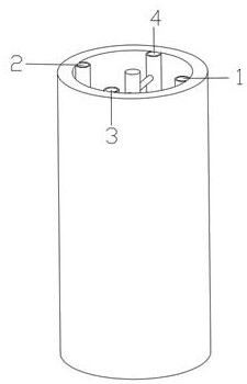 Portable rapid resuscitation-inducing healthy beverage and preparation method thereof