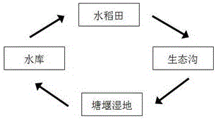 A method for ecological control of agricultural non-point source pollution in rice planting areas