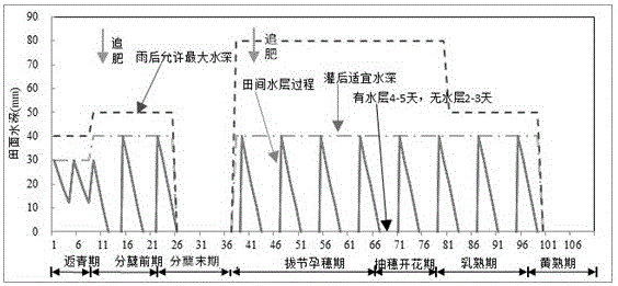 A method for ecological control of agricultural non-point source pollution in rice planting areas