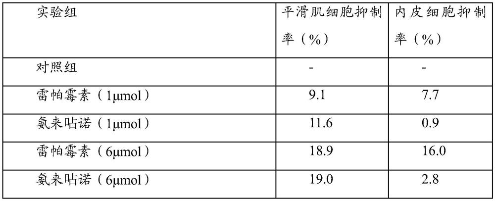 A drug support and preparation method thereof