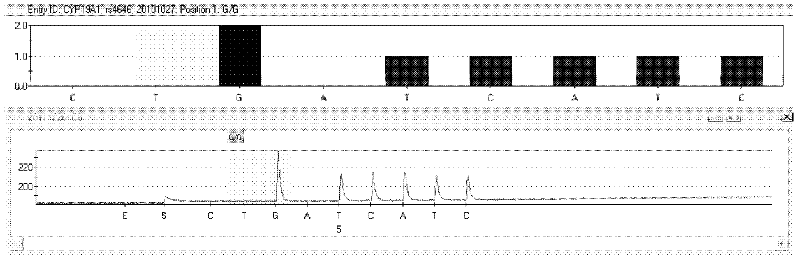 Kit and method for detecting CYP19A1 gene polymorphism by pyrophosphoric acid sequencing method