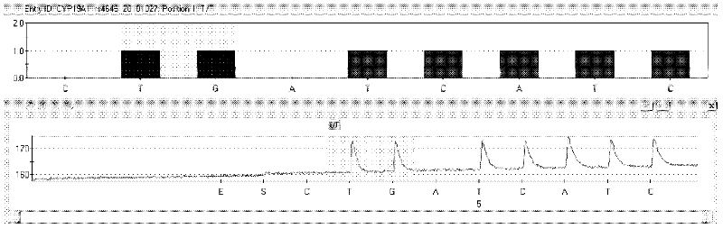 Kit and method for detecting CYP19A1 gene polymorphism by pyrophosphoric acid sequencing method