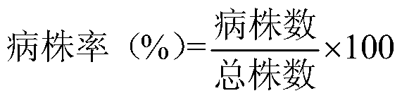 A strain of Bacillus megaterium and its application