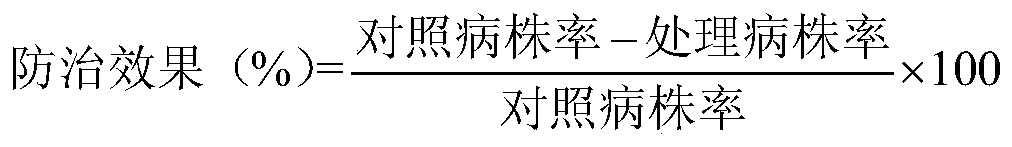 A strain of Bacillus megaterium and its application