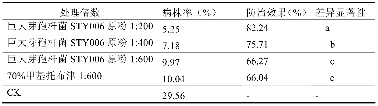 A strain of Bacillus megaterium and its application