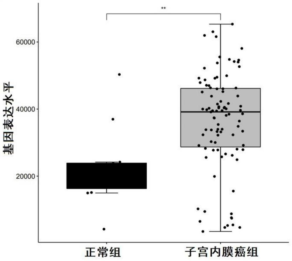 Biomarkers for diagnosing endometrial cancer as well as product and application thereof