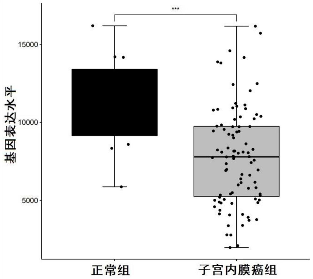 Biomarkers for diagnosing endometrial cancer as well as product and application thereof