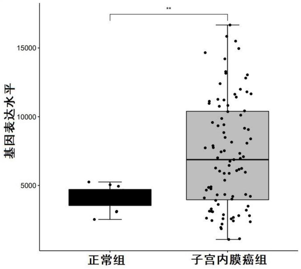 Biomarkers for diagnosing endometrial cancer as well as product and application thereof