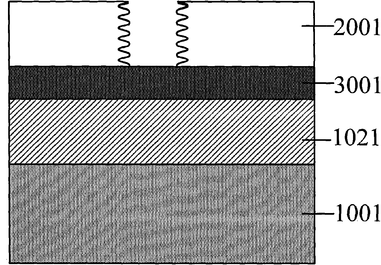 Forming method of through hole