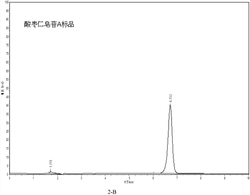 Method for producing saponins and flavonoids through wild jujube endophyte fermentation