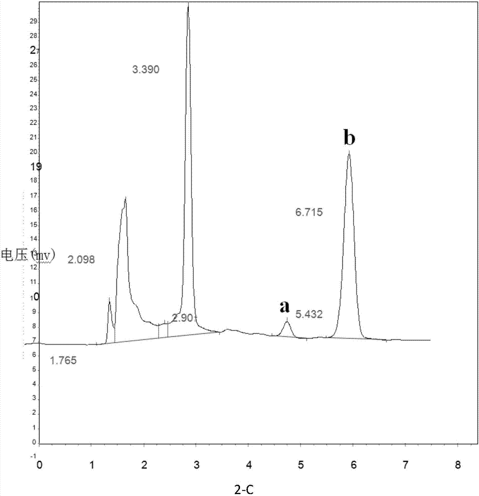 Method for producing saponins and flavonoids through wild jujube endophyte fermentation