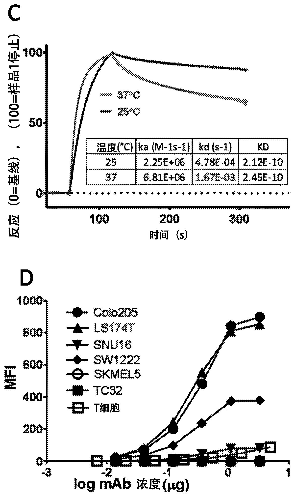 A33 antibody compositions and methods of using the same in radioimmunotherapy