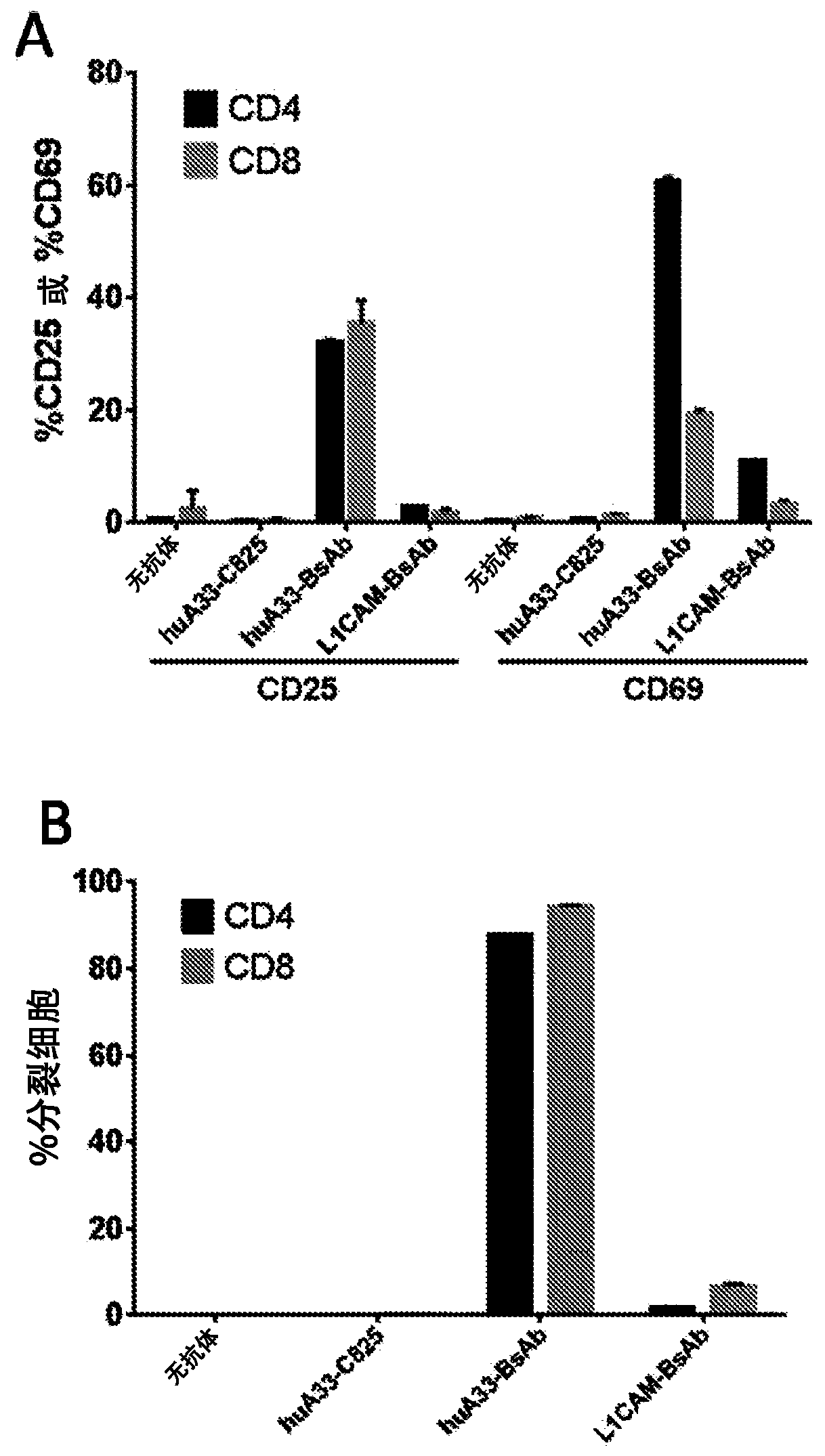 A33 antibody compositions and methods of using the same in radioimmunotherapy