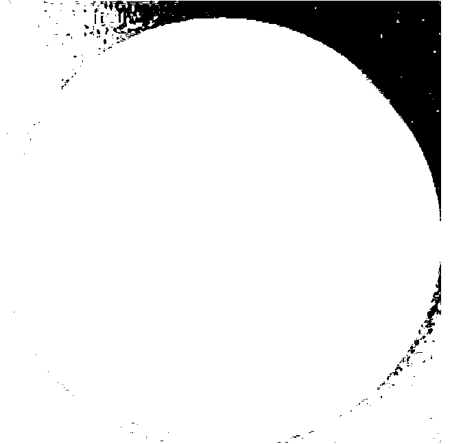 Low-temperature denitrification pseudomonas fluorescens