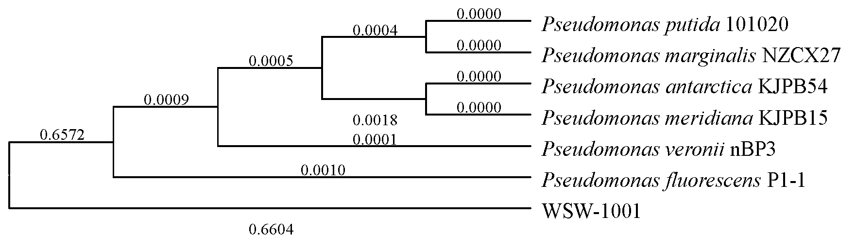 Low-temperature denitrification pseudomonas fluorescens