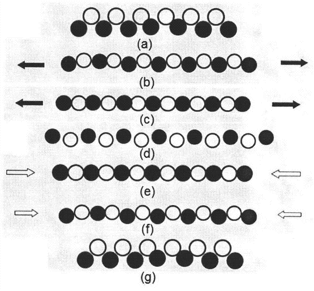 Design principle and manufacturing method of porous material having dynamic adsorption and transfer functions