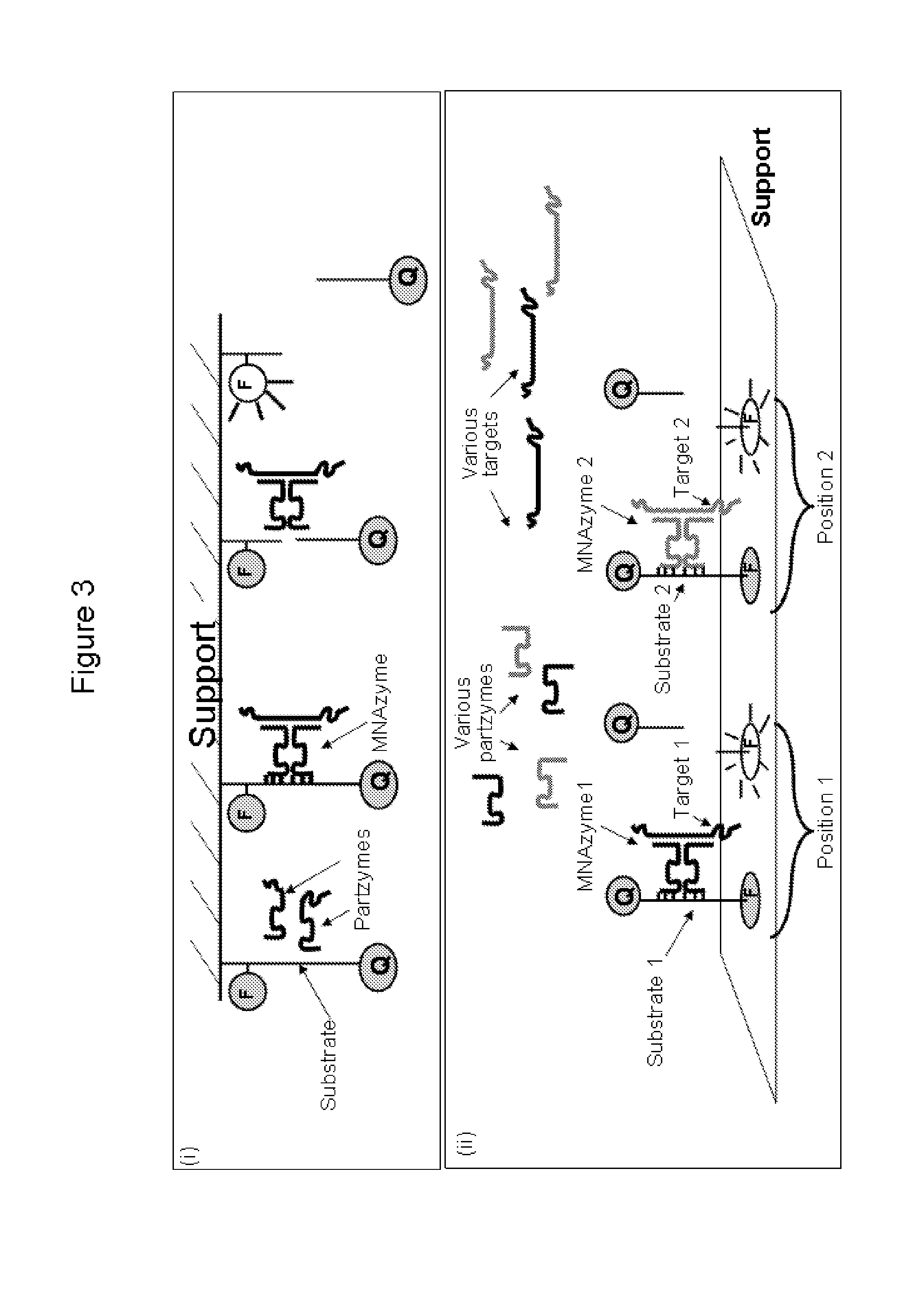 Multicomponent nucleic acid enzymes with cleavage, ligase or other activity and methods for their use