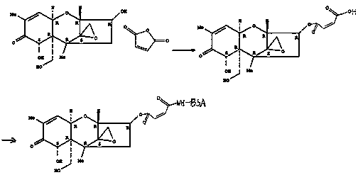 A high-affinity anti-vomitoxin monoclonal antibody and its preparation method