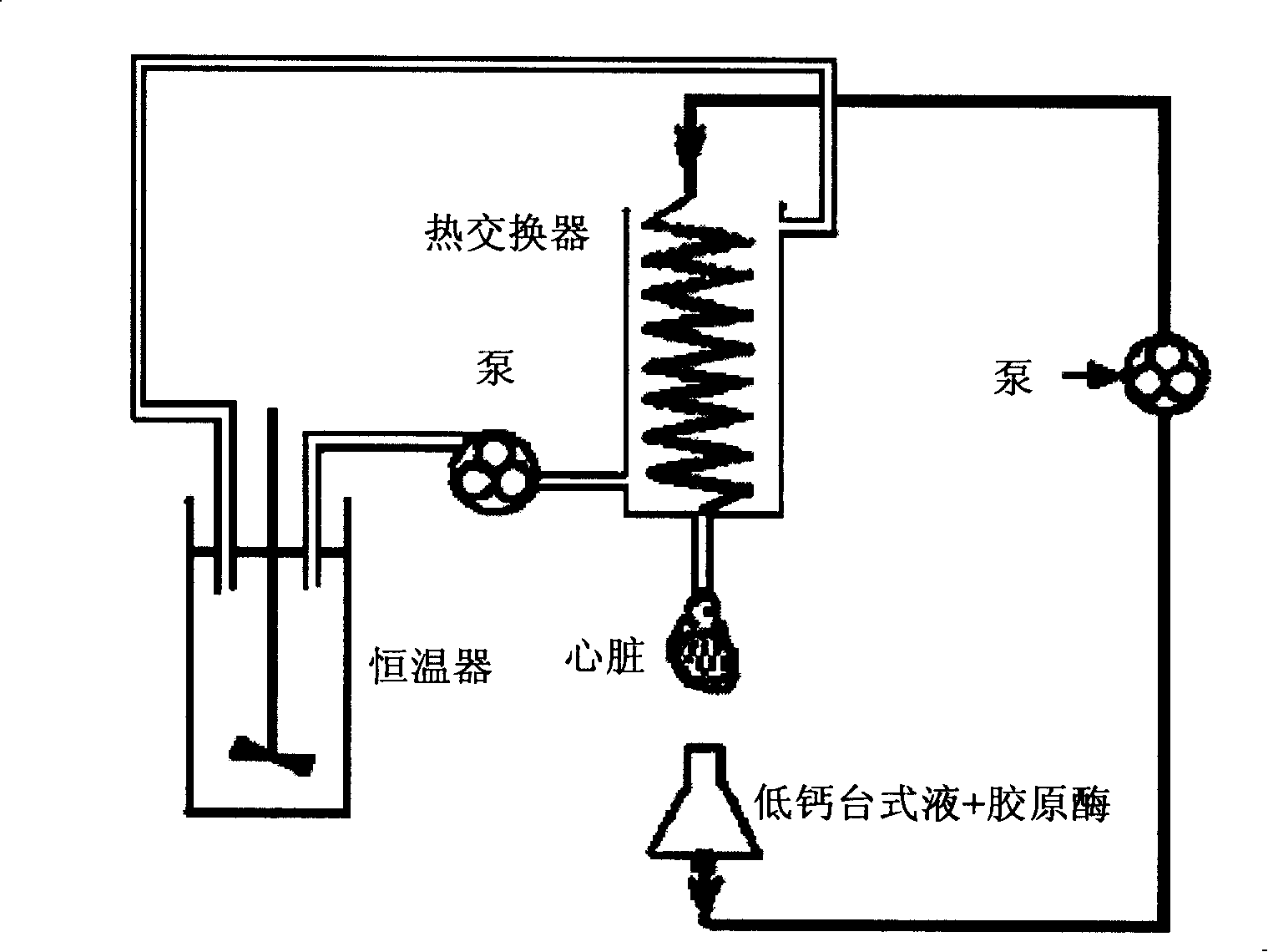 Application of Chinese medicine composition in preparing medicament for adjusting cardiac muscle cell potassium ion channel