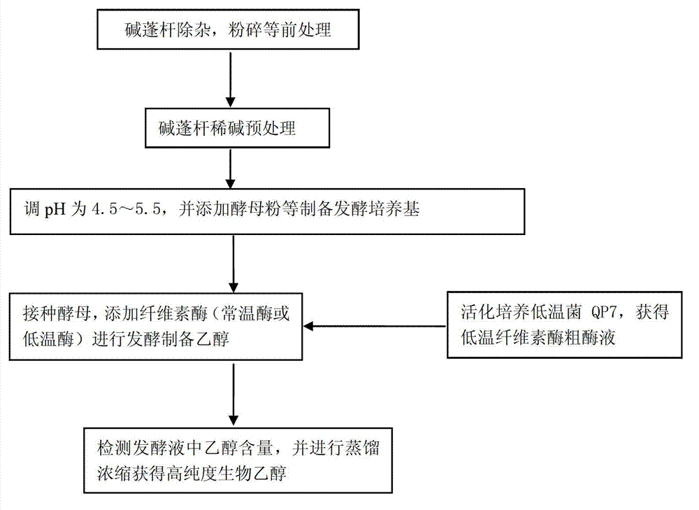 Method for preparing bio-ethanol with suaeda salsa as raw material