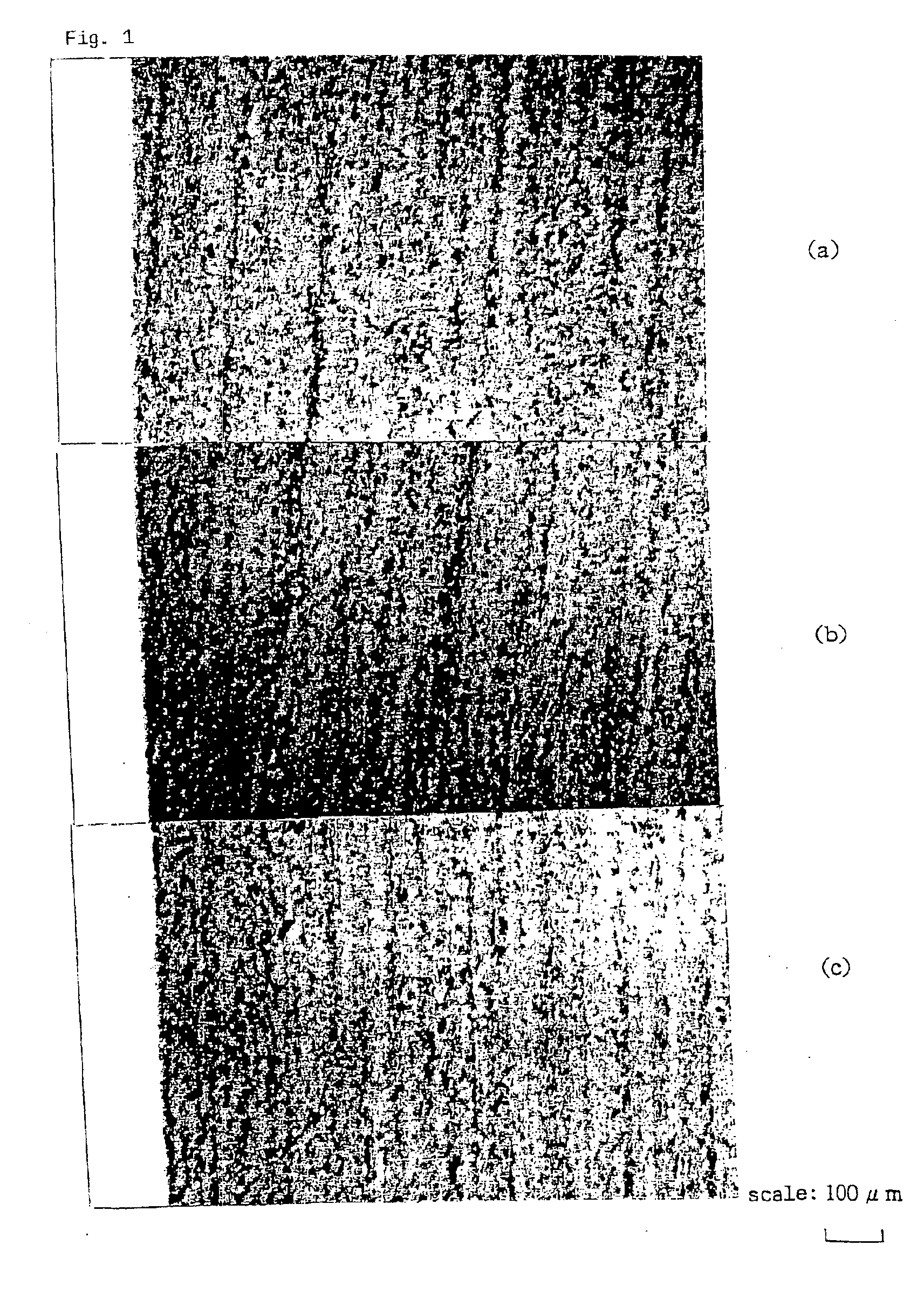 Quartz glass jig for processing apparatus using plasma