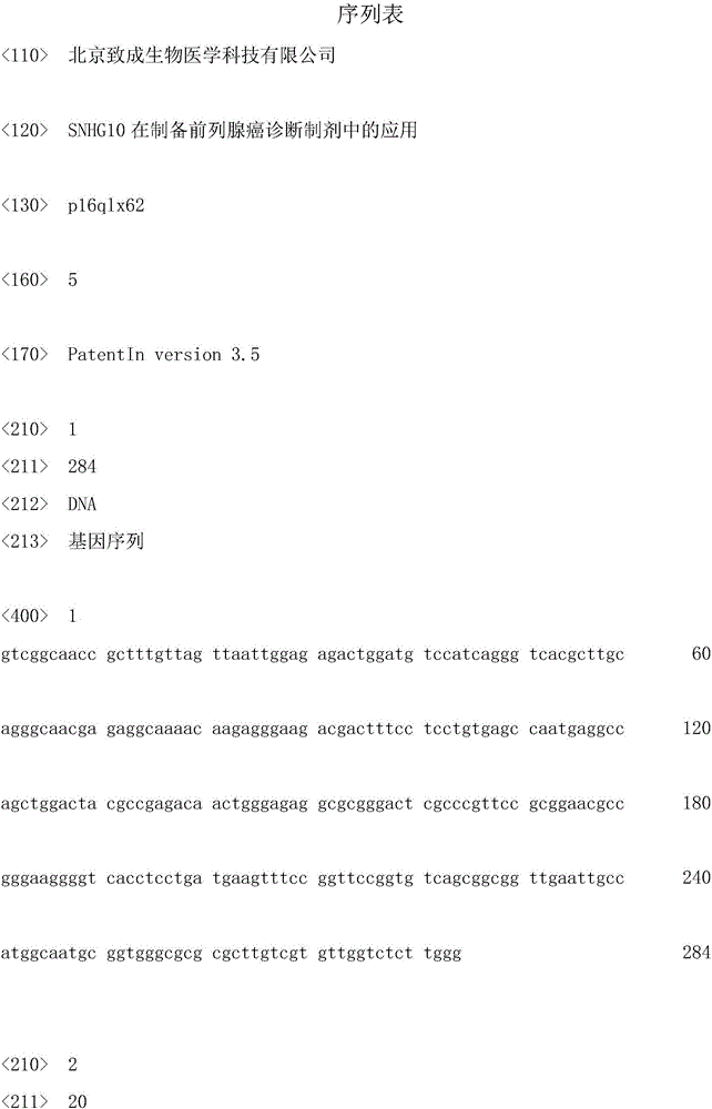 Application of SNHG10 (small nucleolar RNA host gene 10) in preparation of preparations for diagnosing prostate cancer