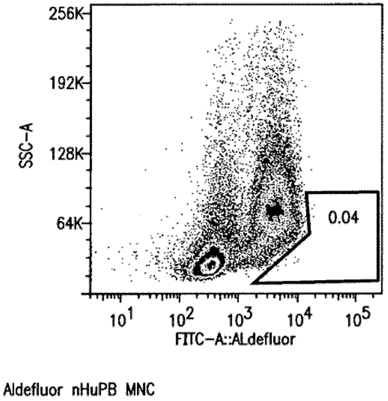 Isolated monocyte populations and related therapeutic applications