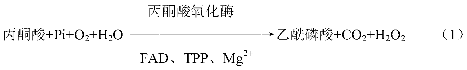 Method for preparing pyruvic oxidase