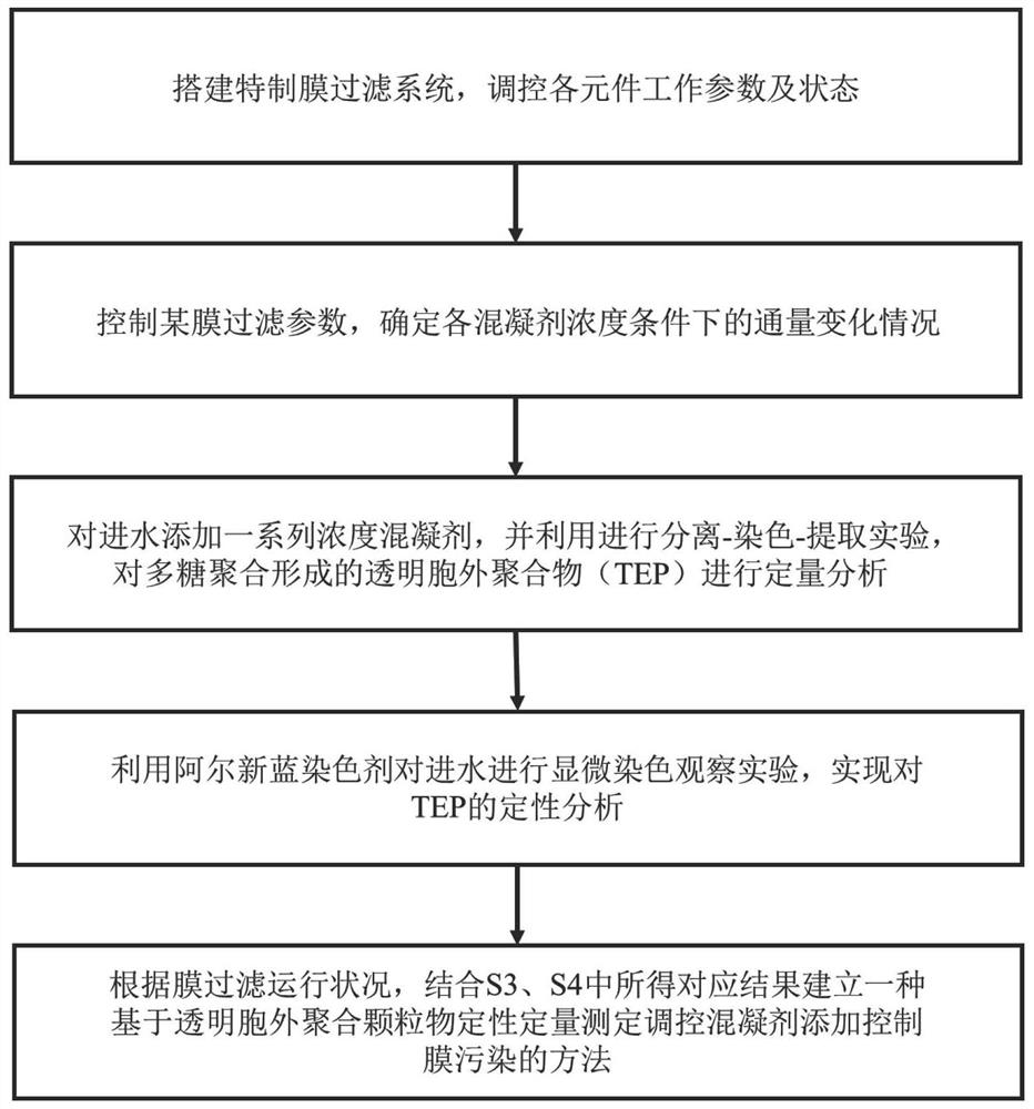 TEP-based coagulant regulation and control method and application thereof