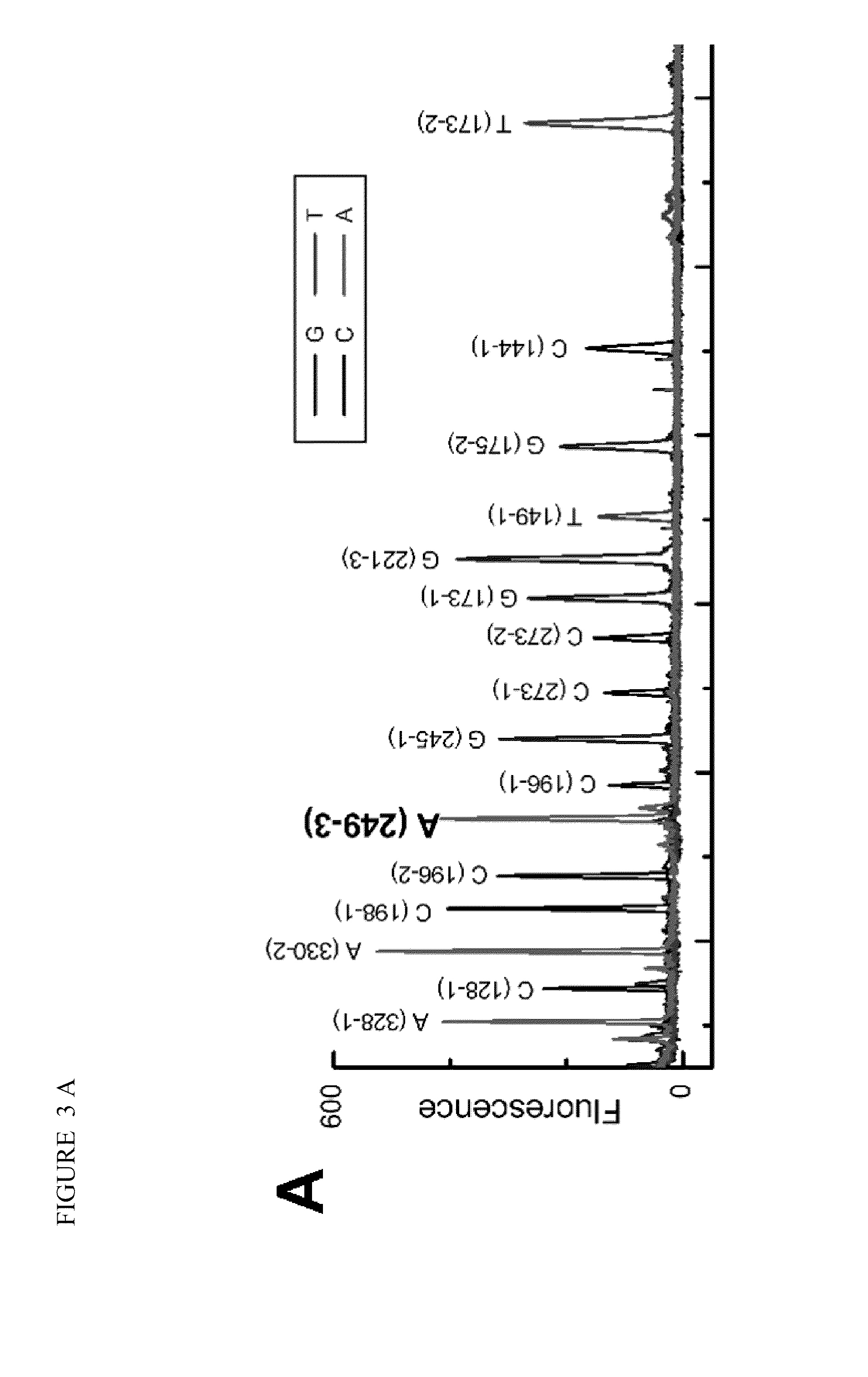 Compositions and methods for free-solution conjugate nucleic acid analysis