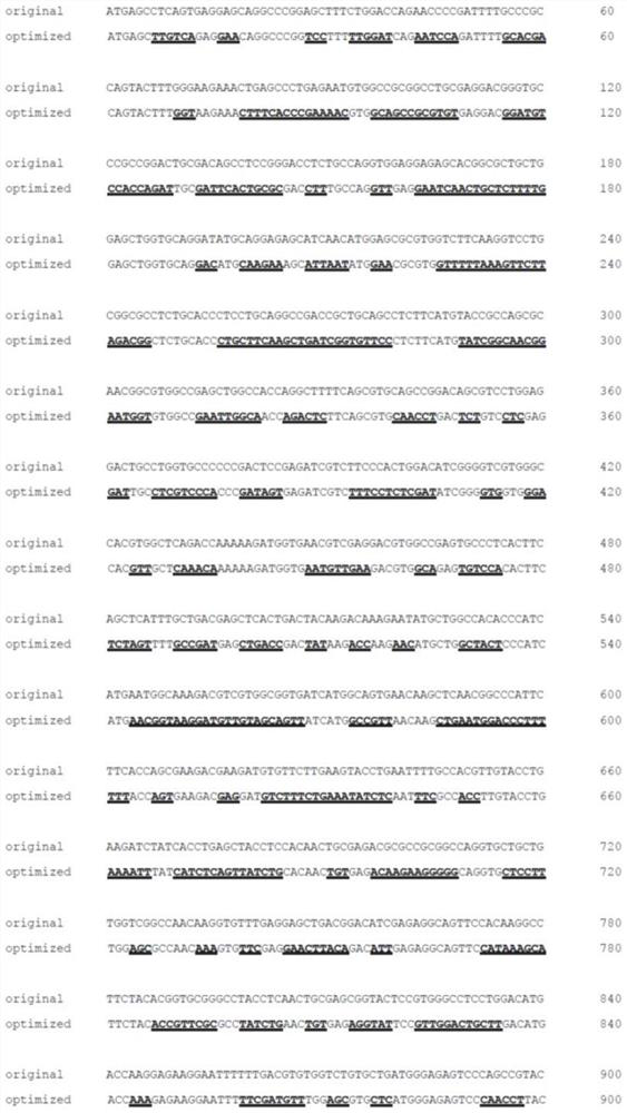 A kind of pde6b nucleotide sequence and its application