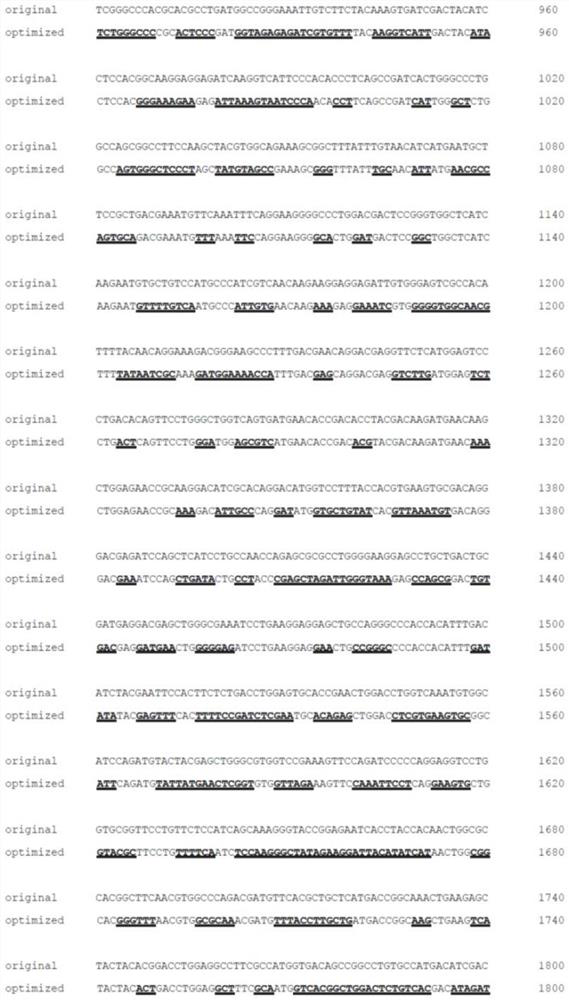 A kind of pde6b nucleotide sequence and its application