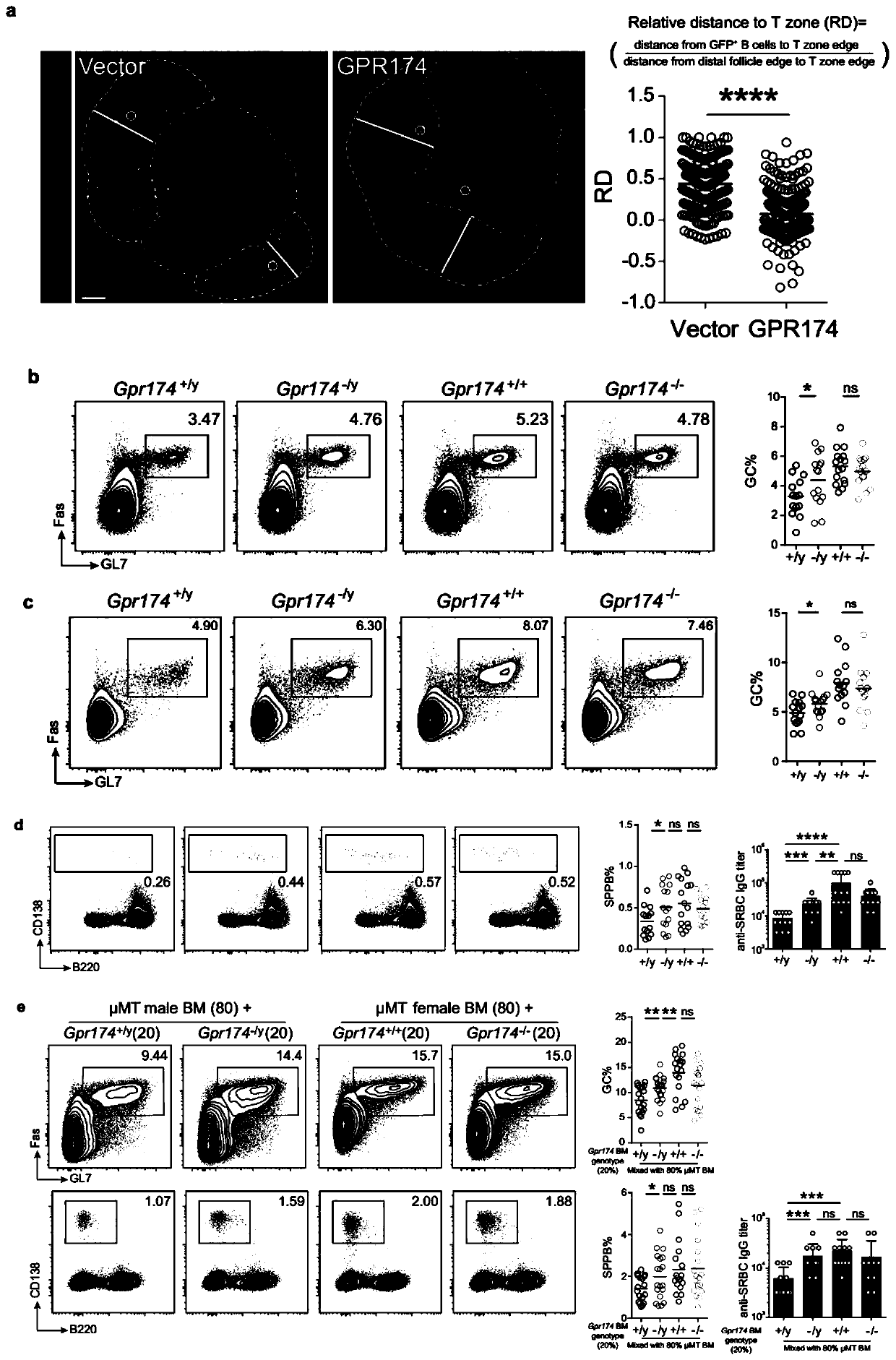 Immunology functions and purpose of GPR174