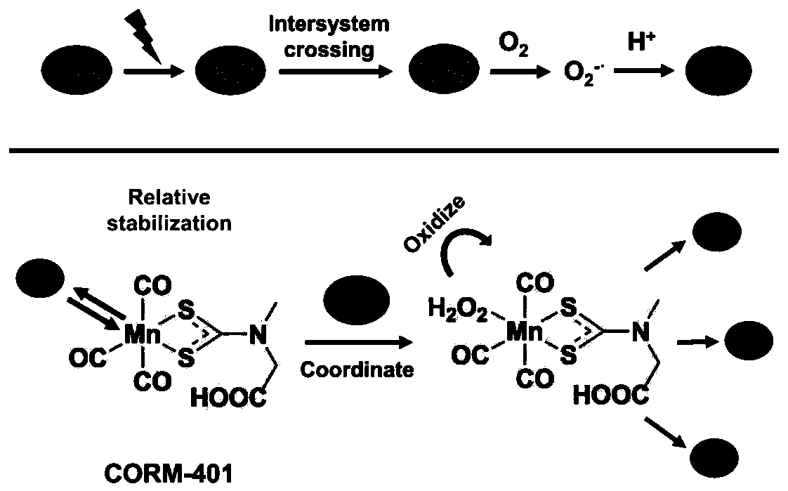 Photodynamically induced co-controllable delivery system and its construction method