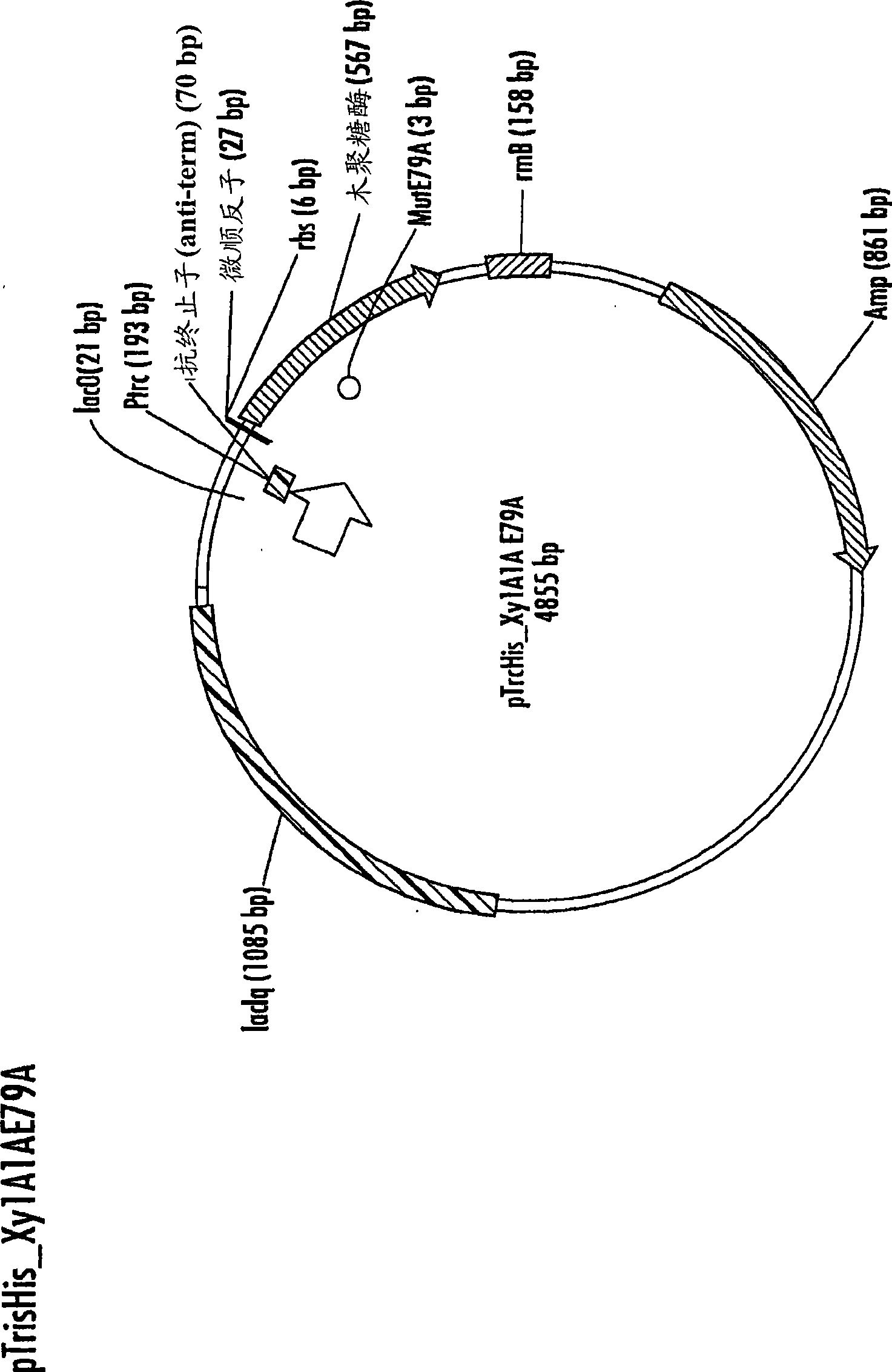 Catalytically inactive proteins and method for recovery of enzymes from plant-derived materials