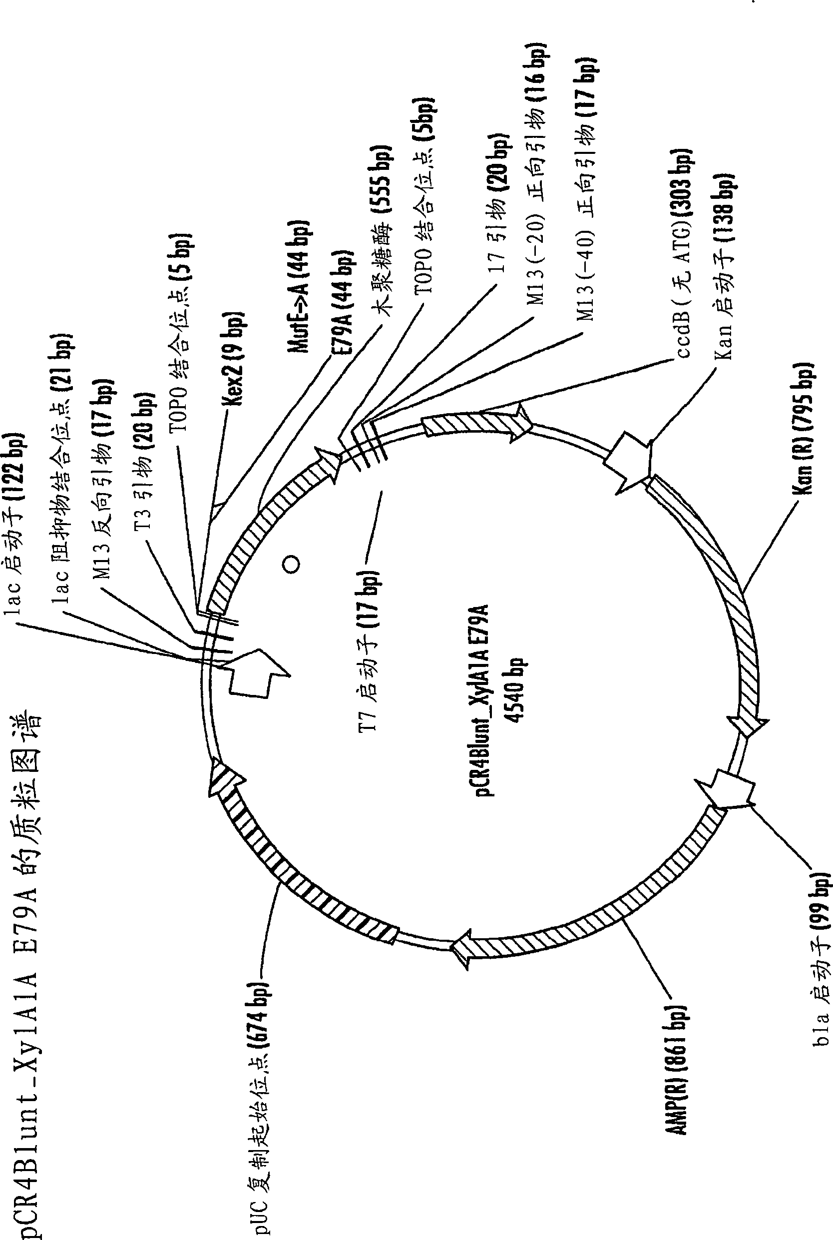 Catalytically inactive proteins and method for recovery of enzymes from plant-derived materials