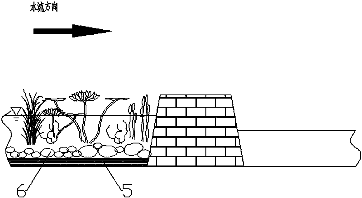 Ecological system for improving self purification capacity of riverway and construction method of ecological system