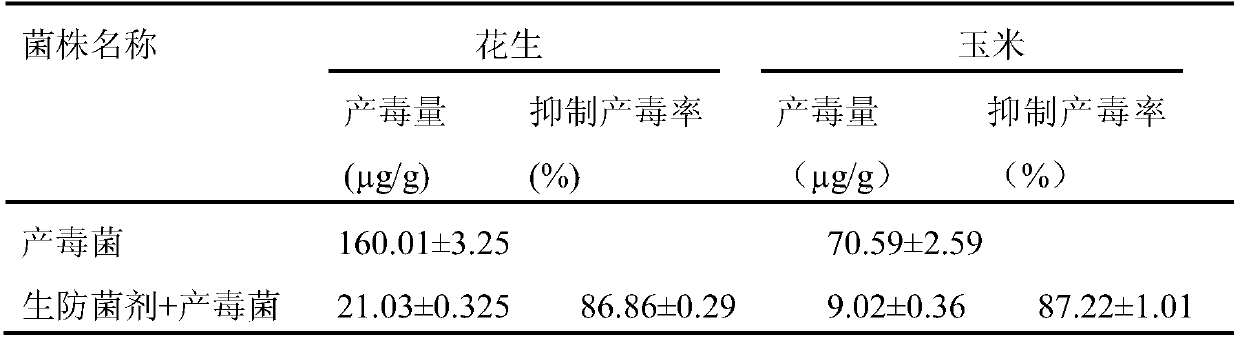 Antibiological inoculant for toxin production aspergillus flavus, and preparation method and application of antibiological inoculant