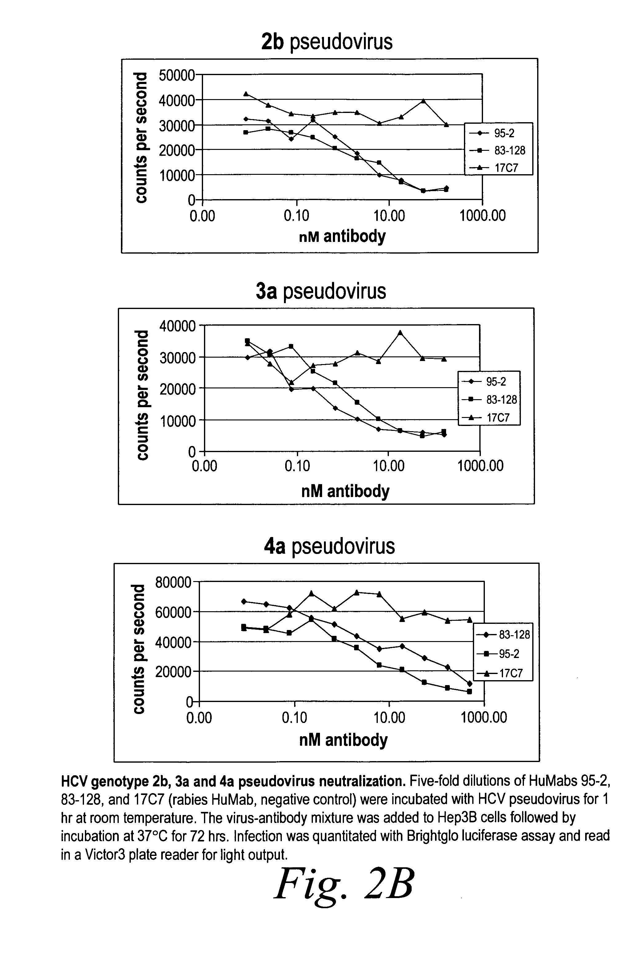 Human antibodies against hepatitis C virus (HCV) and uses thereof