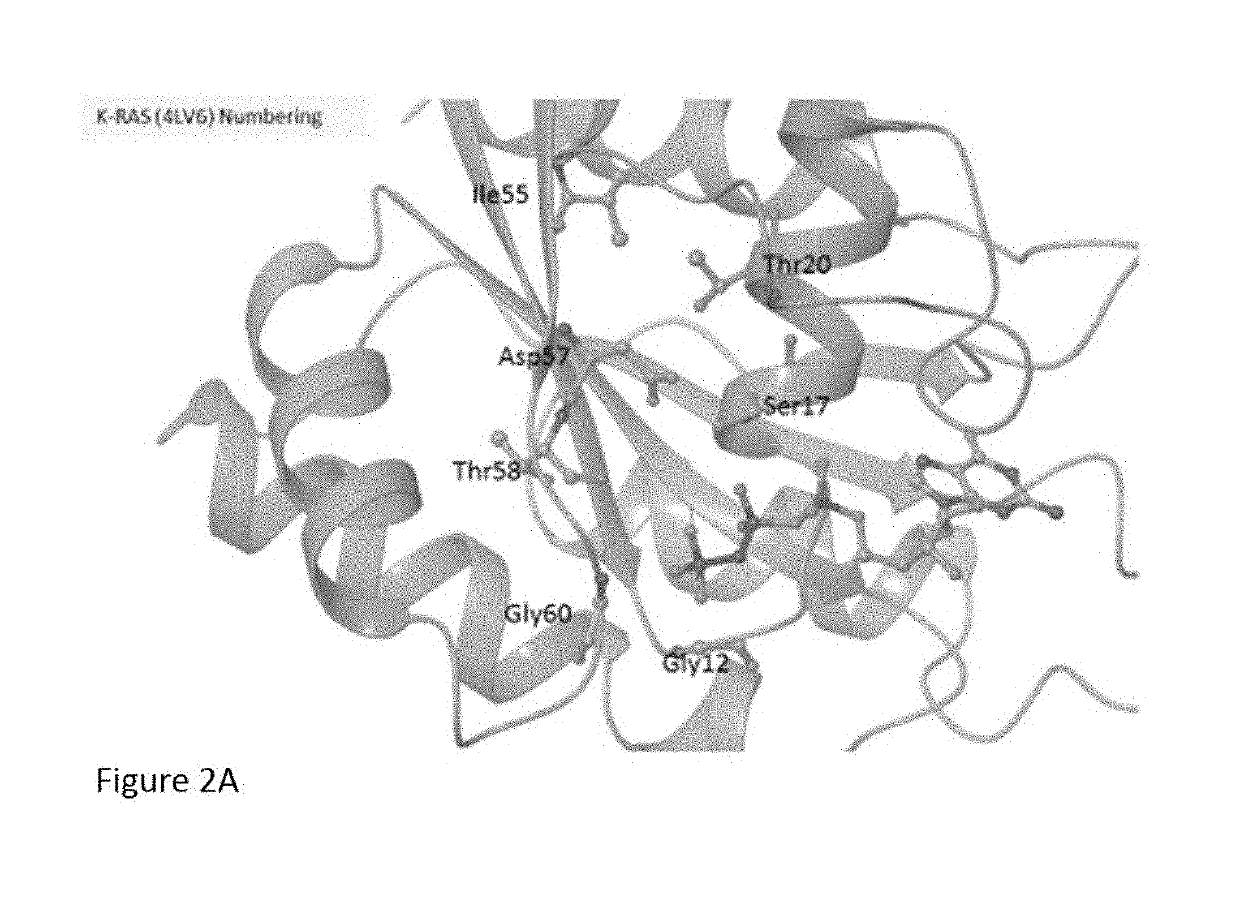 K-ras mutations and antagonists